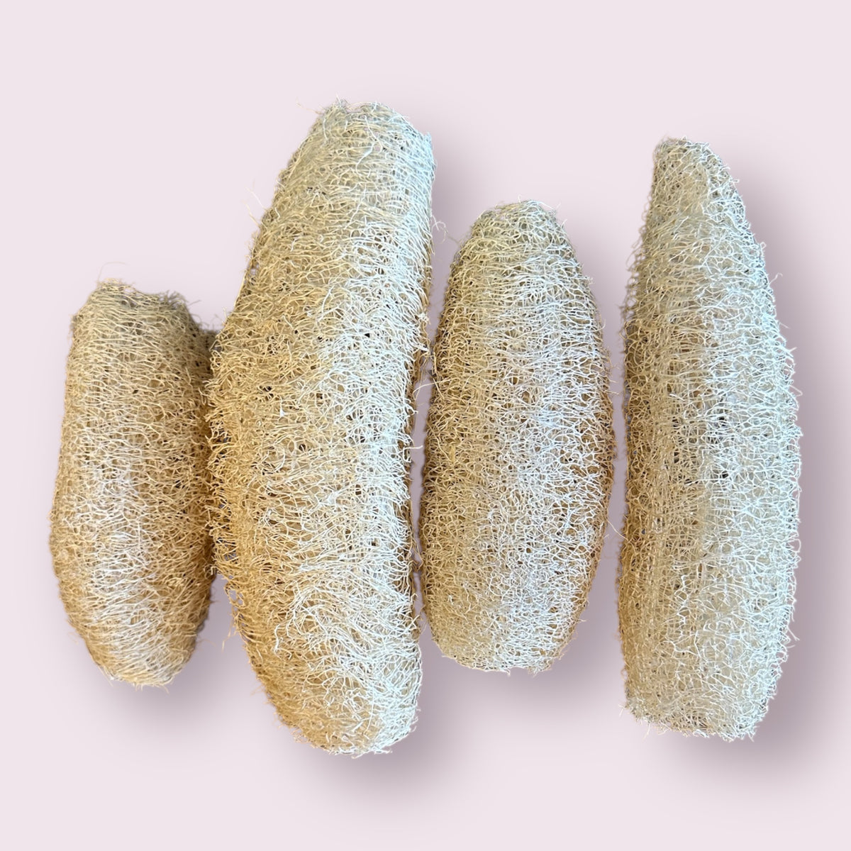Natural Loofah