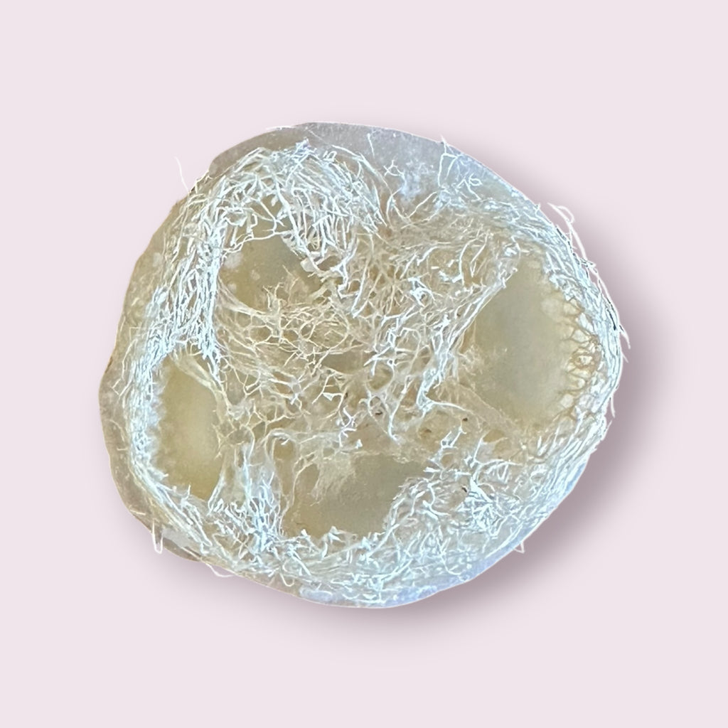 Coconut Frankincense Loofah Face Soap