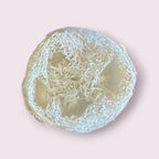 Coconut Frankincense Loofah Face Soap