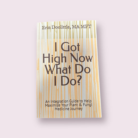 I Got High Now What Do I Do? - Erin Doolittle