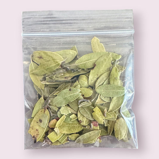 Uva Ursi: 1oz