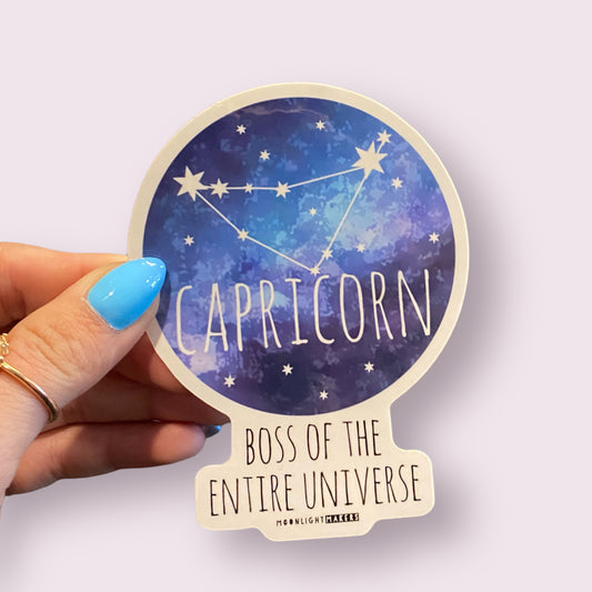 Capricorn - Die Cut Stickers
