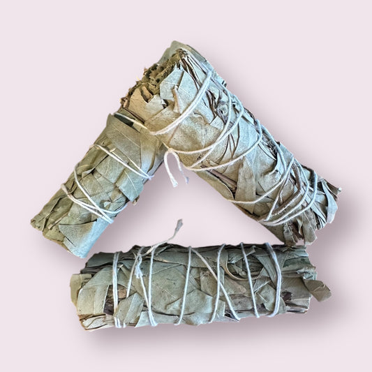 Eucalyptus Sage Smudge Stick (4 in.)