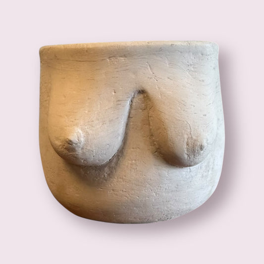 Boobs Planter, Woman Body Pot, Female Torso Decor, Breast