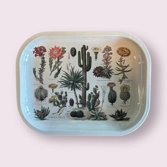 Small Metal Cactus Ritual Tray / Vintage Cacti Print