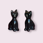Black Obsidian Cat