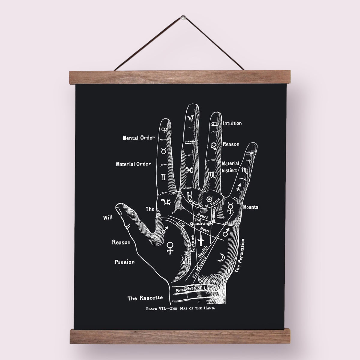 Vintage Palmistry Fortune Teller Print w/ Walnut Frame