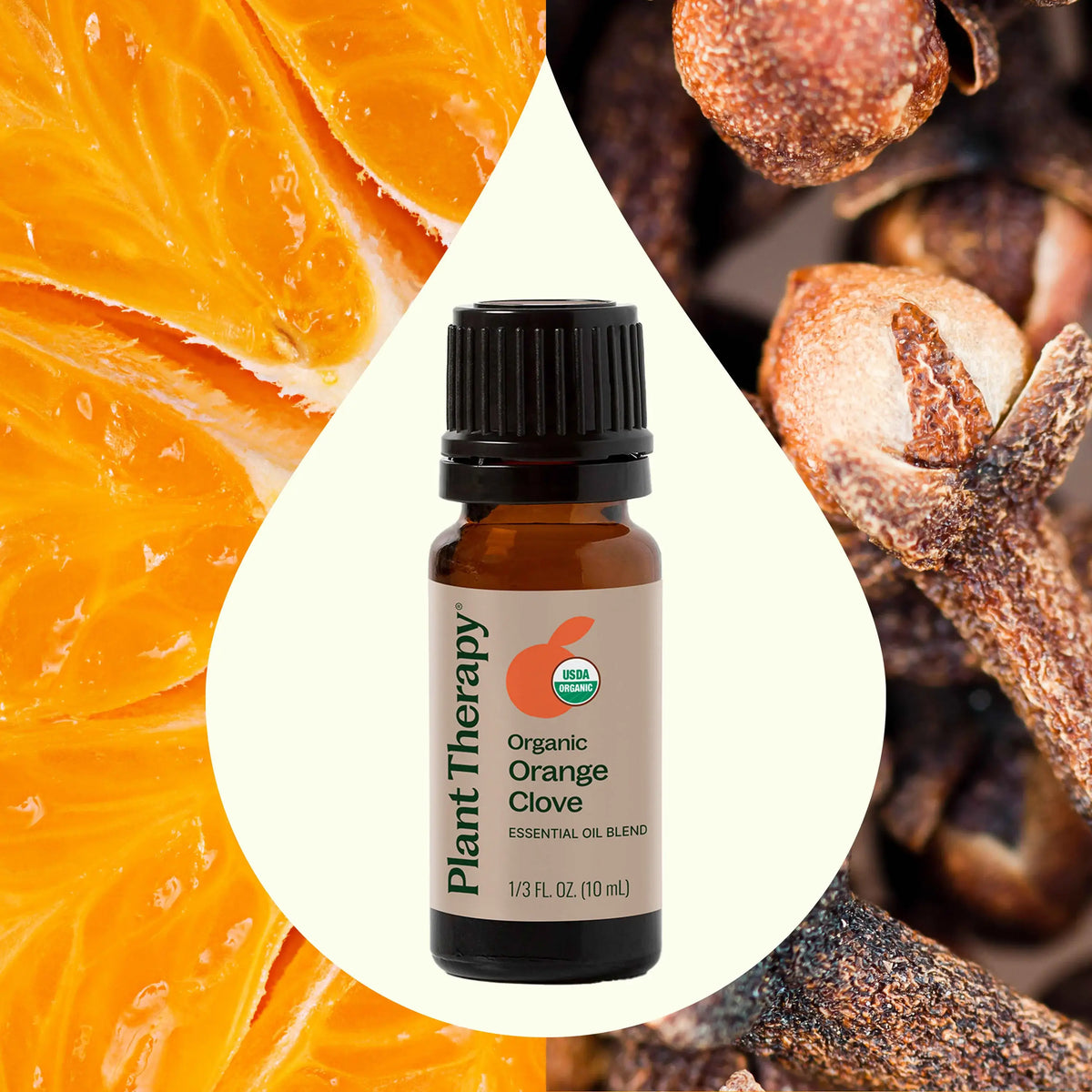 Organic Orange Clove Essential Oil Blend 10 ml