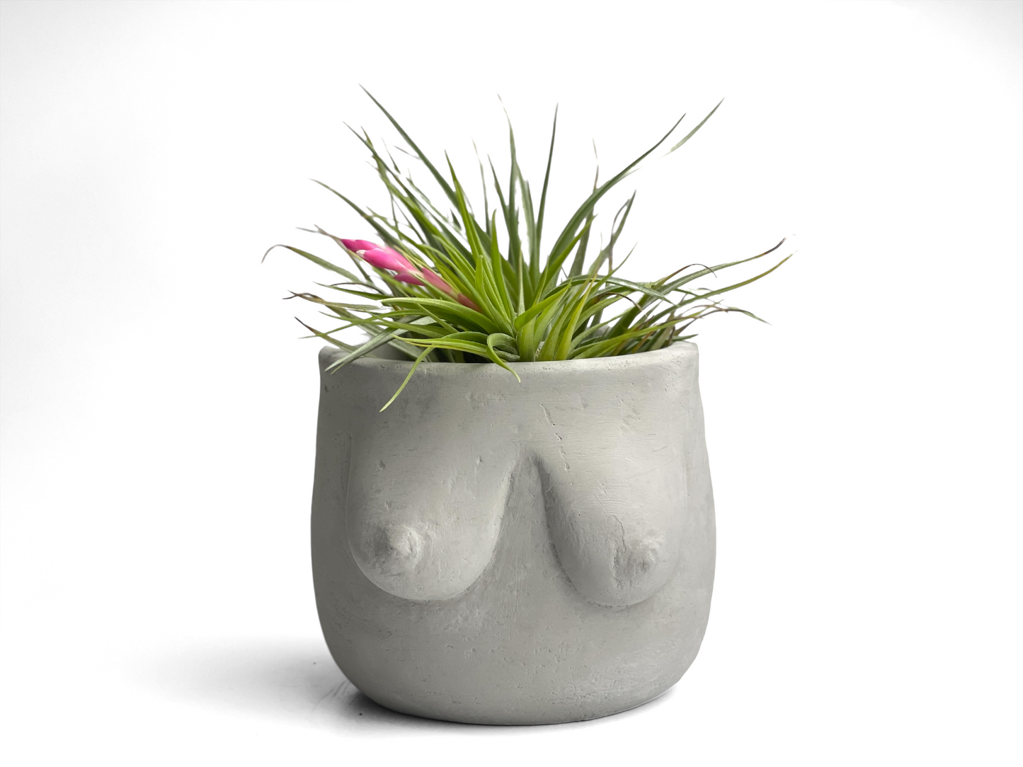 Boobs Planter, Woman Body Pot, Female Torso Decor, Breast