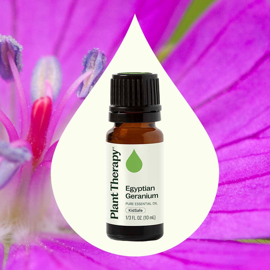 Egyptian Geranium Essential Oil 10 mL