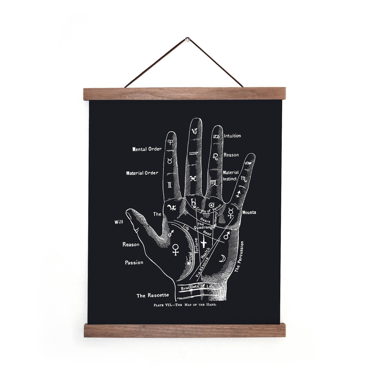 Vintage Palmistry Fortune Teller Print w/ Walnut Frame