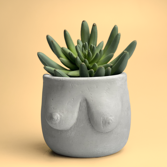 Boobs Planter, Woman Body Pot, Female Torso Decor, Breast