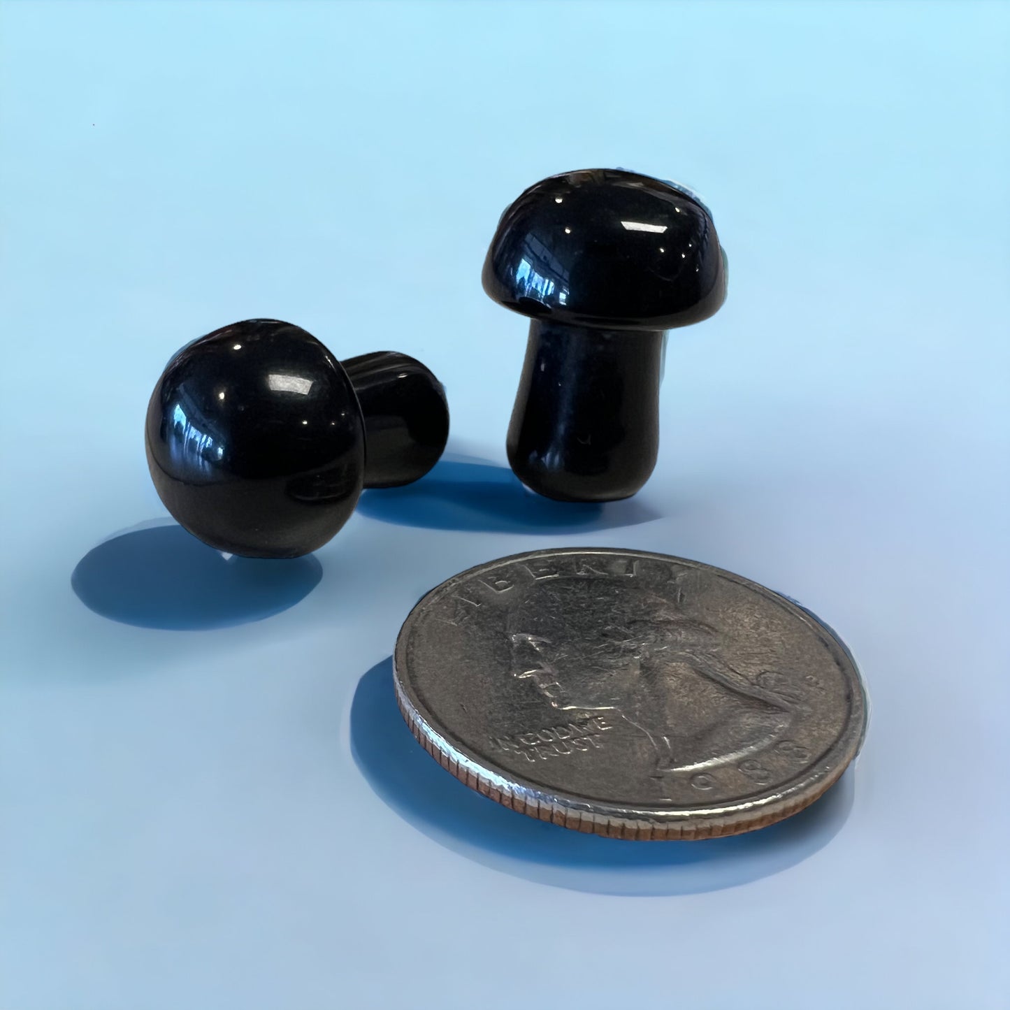 Black Onyx Mushroom