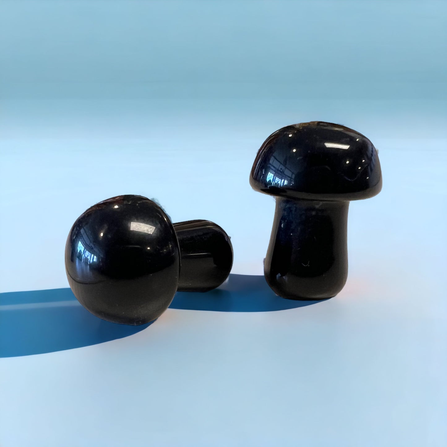 Black Onyx Mushroom