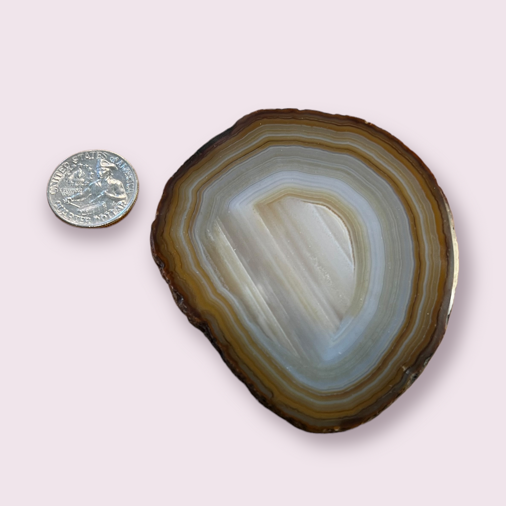 Agate Slice | 70-100mm | Brazil
