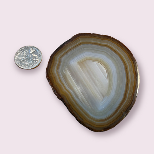 Agate Slice | 70-100mm | Brazil