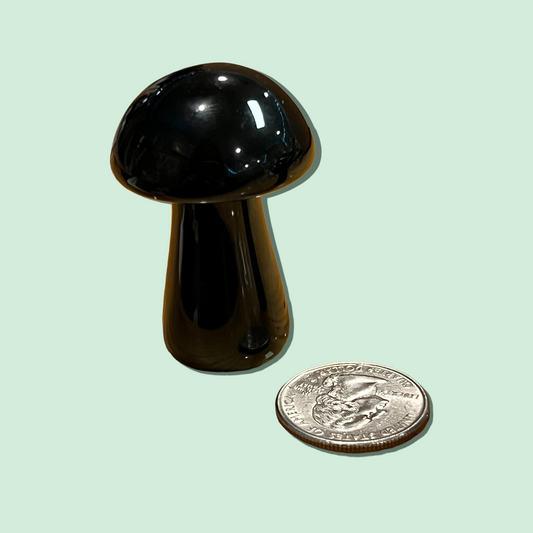 Black Obsidian Magic Mushroom 50mm