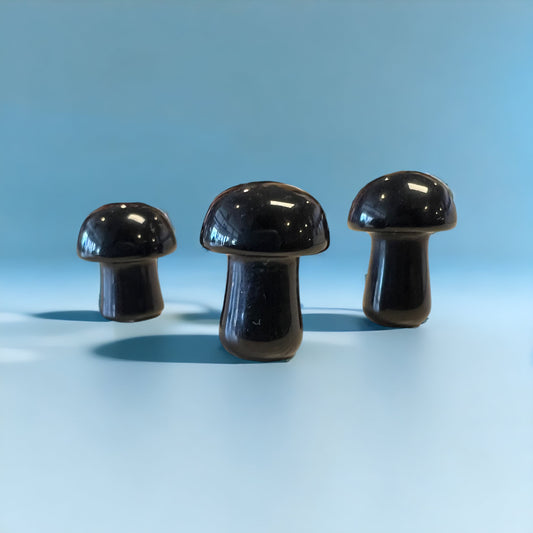 Black Onyx Mushroom