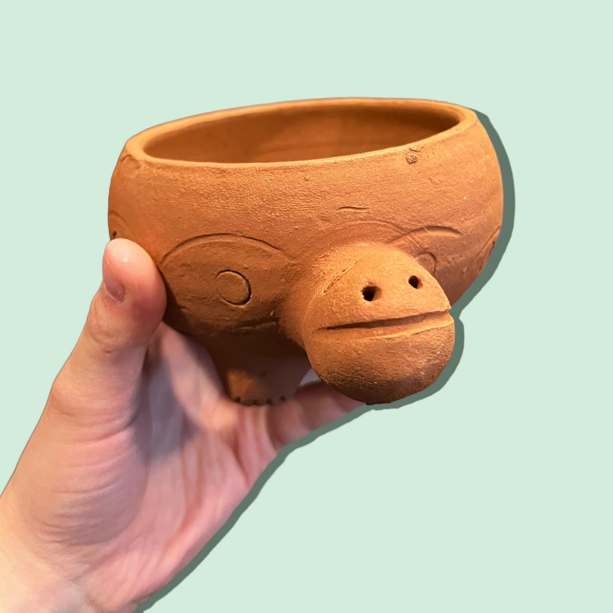 Rakshana Plant Pals - Turtle (Large)