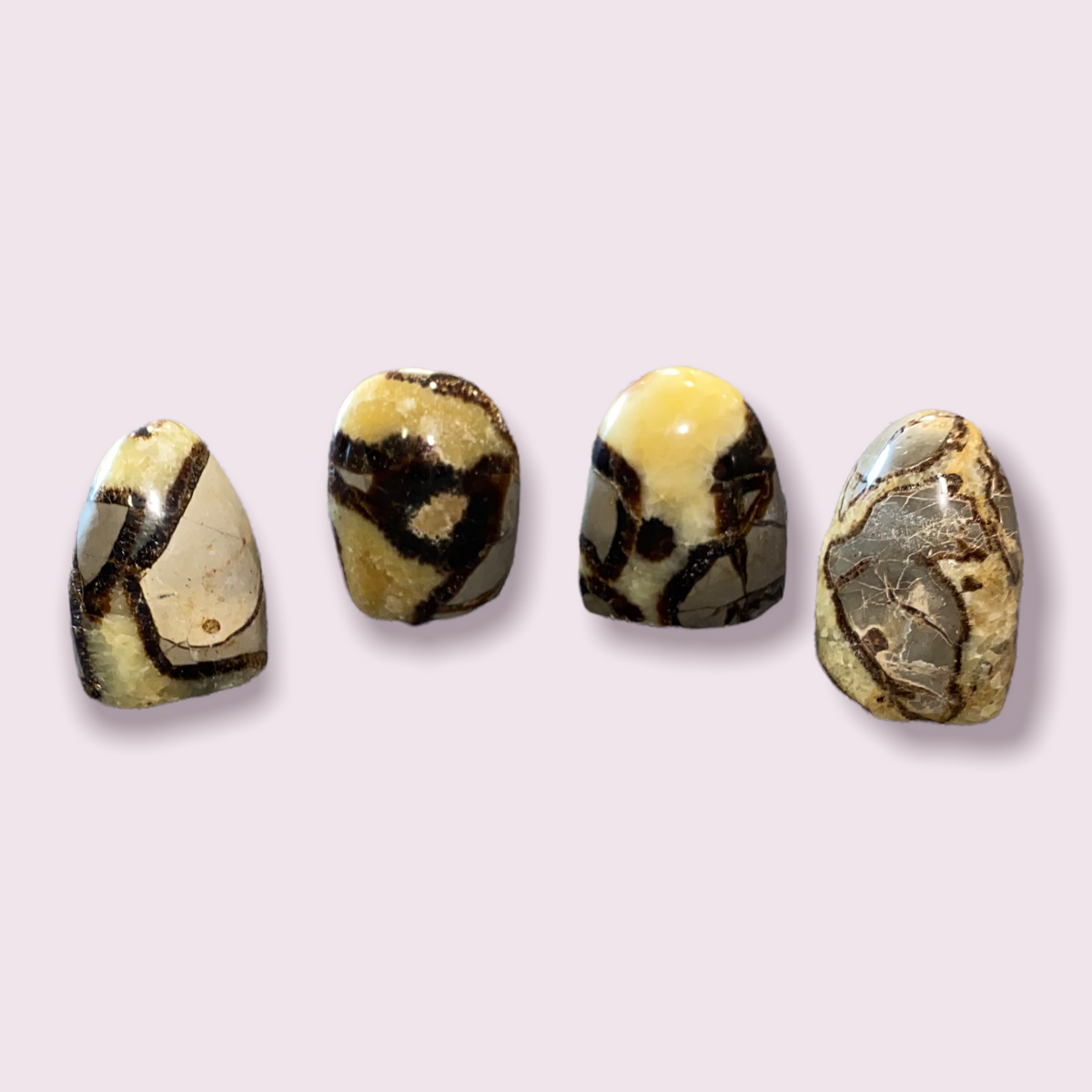 Septarian (dragon Stone) Freeform Statue