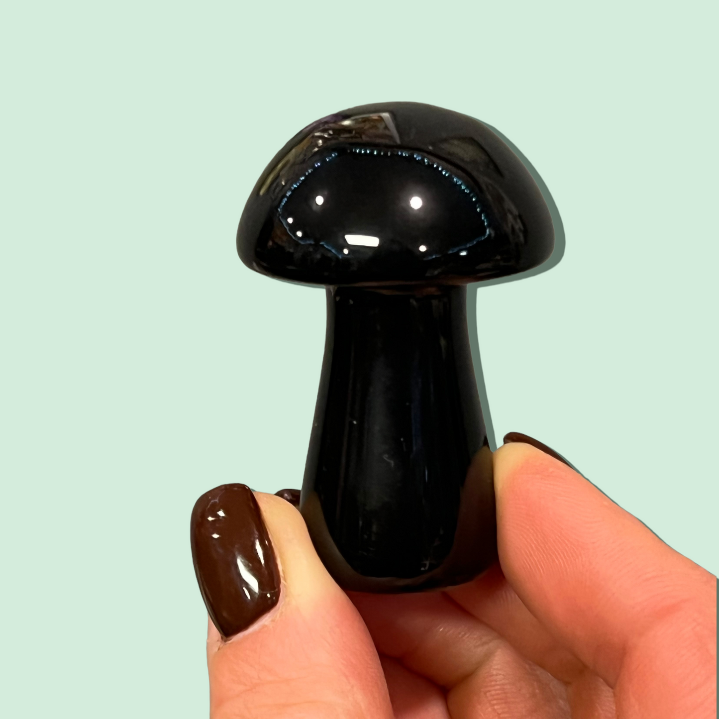 Black Obsidian Magic Mushroom 50mm
