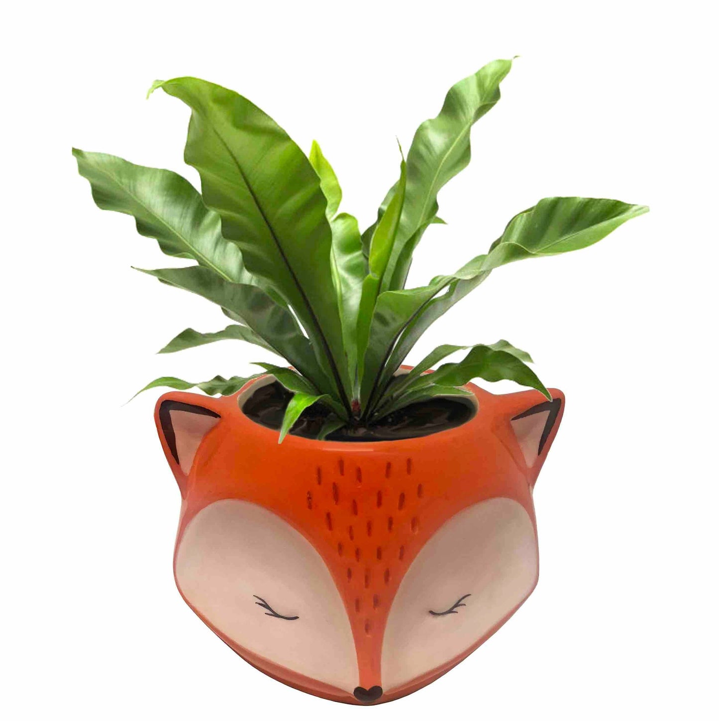Streamline - Fox Planter Pot