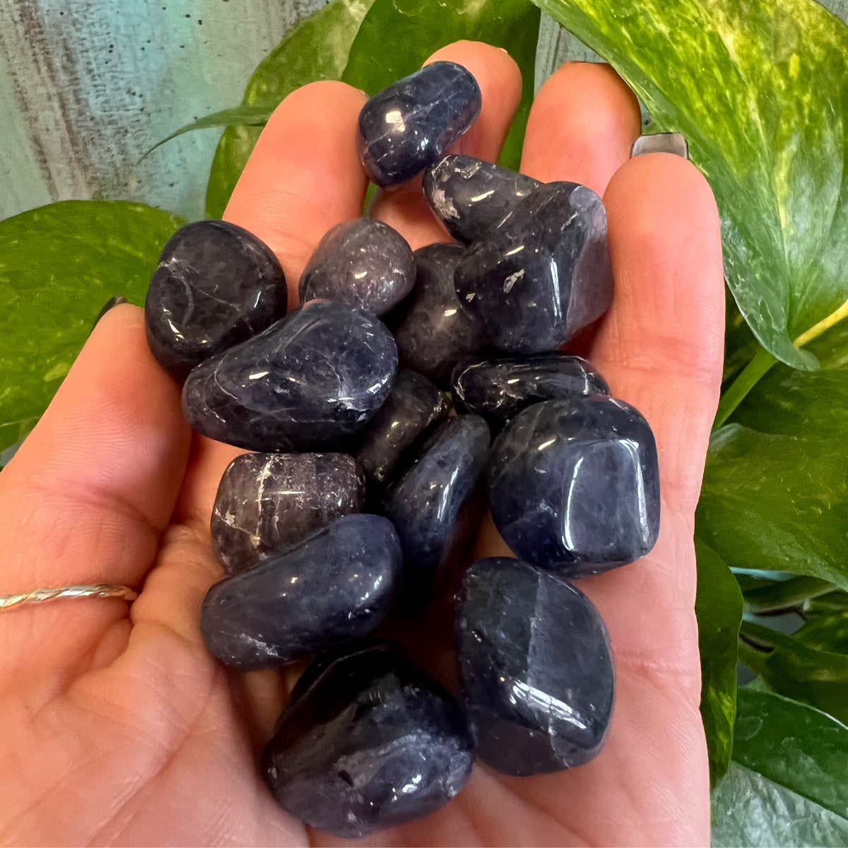 Iolite Tumbled